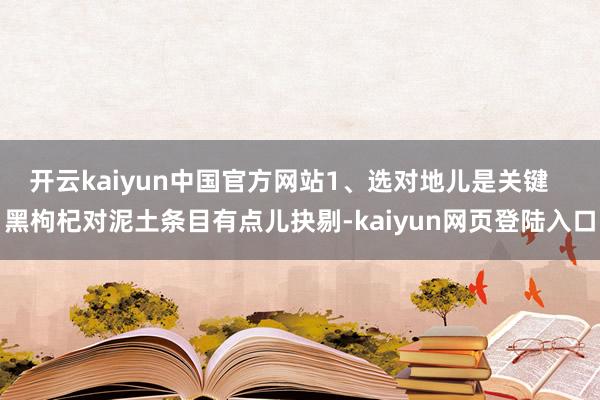 开云kaiyun中国官方网站1、选对地儿是关键   黑枸杞对泥土条目有点儿抉剔-kaiyun网页登陆入口
