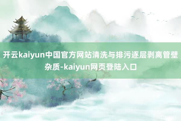 开云kaiyun中国官方网站清洗与排污逐层剥离管壁杂质-kaiyun网页登陆入口